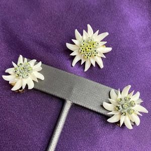 EDELWEISS BROOCH PIN CLIP EARRINGS SET HAND PAINTED VINTAGE CARVED FLOWER